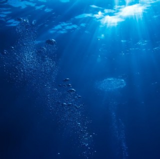 深海海底鲨鱼潜水海报