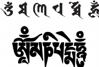 天然菩提根风化果六字真言桶