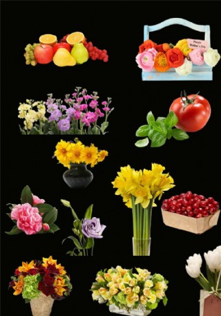 花果类蔬菜特卖