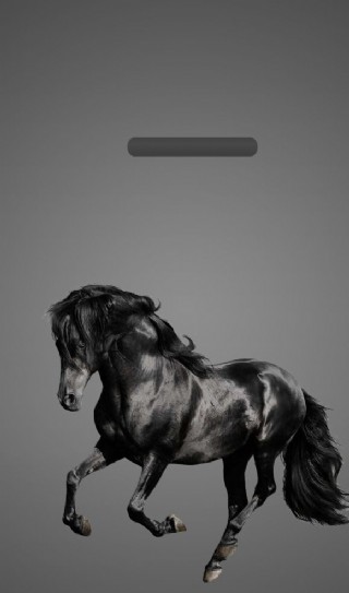 黑马 魅族壁纸 锁屏图片