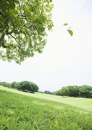 春天風景高靖圖片素材