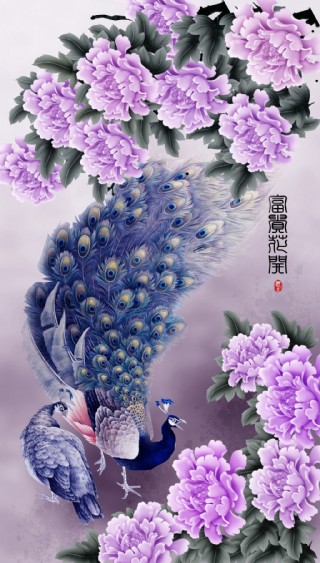 花开富贵孔雀 效果图
