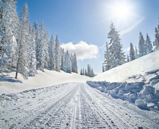 冬天马路雪地风景
