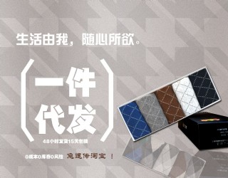 一件代发首页海报