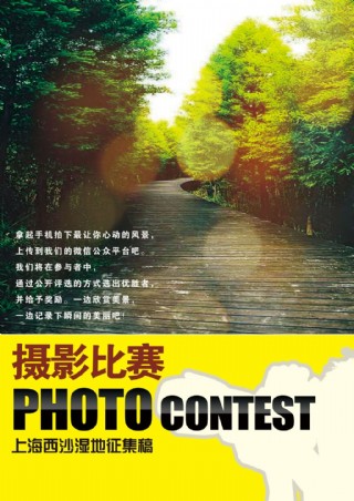 海报封面摄影比赛上海西沙湿地