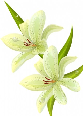 水仙花矢量花纹